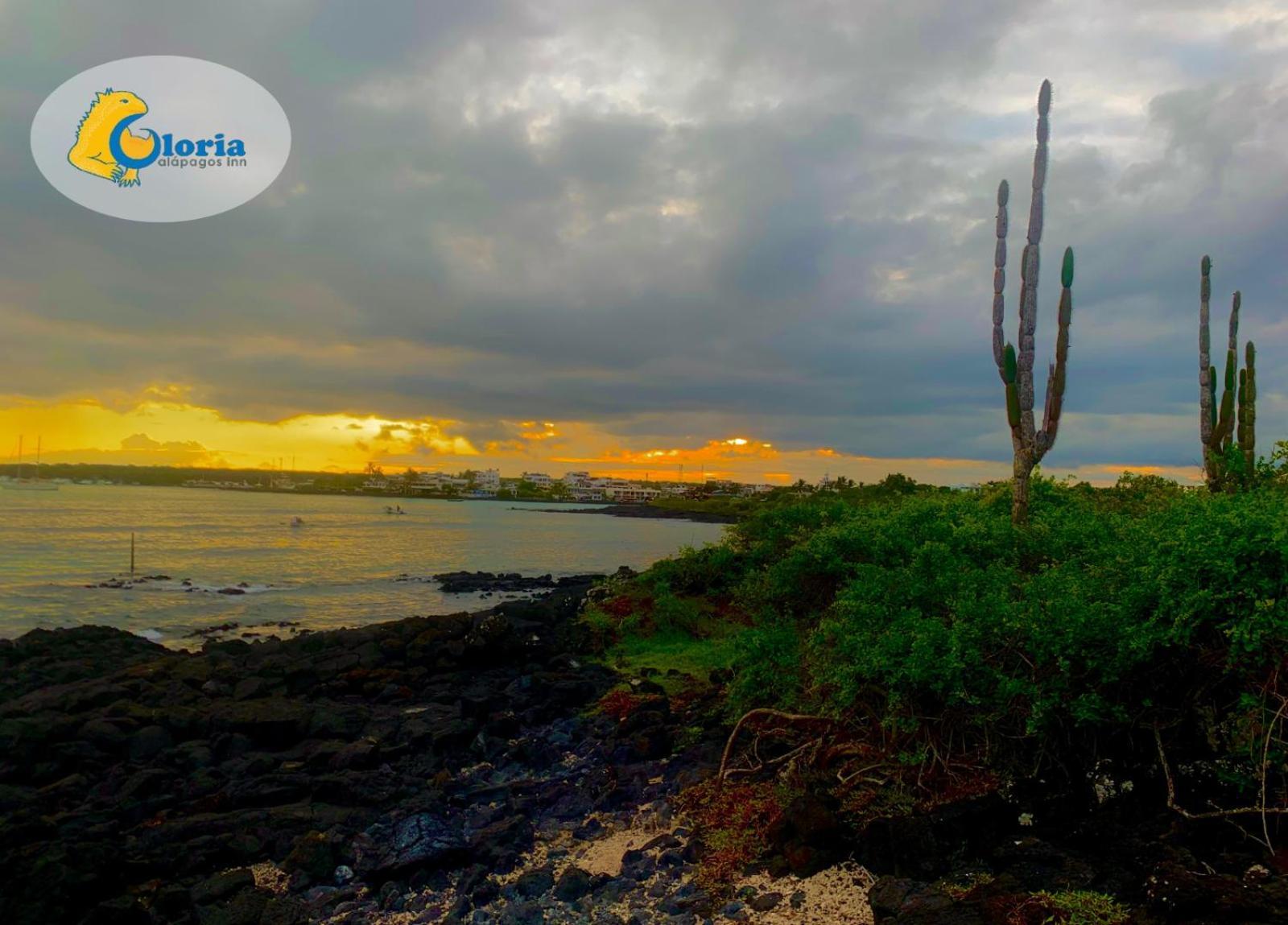 Gloria - Galapagos Inn Puerto Ayora  Dış mekan fotoğraf